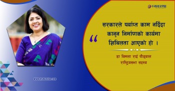 कानुन निर्माणमा प्रतिनिधिसभा र राष्ट्रियसभाबीच जिम्मेवारी बाँडफाँट हुनुपर्छ